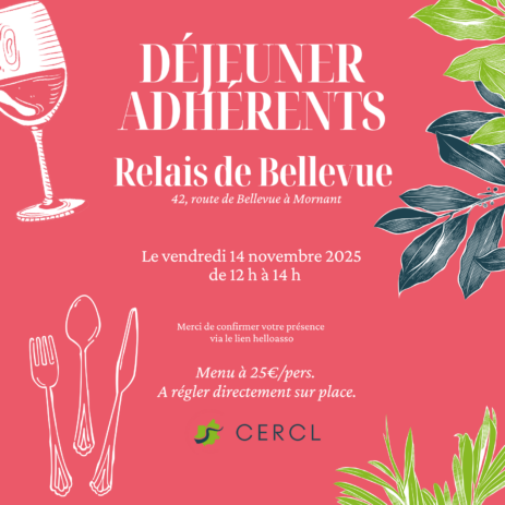 déj bellevue nov 25